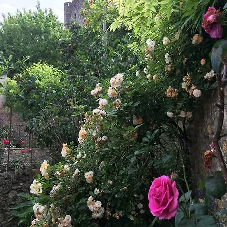 Cote Remparts Carcassonne