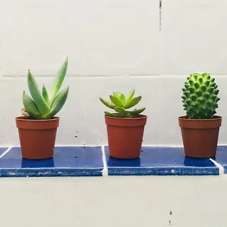 בית נופש Cote Remparts