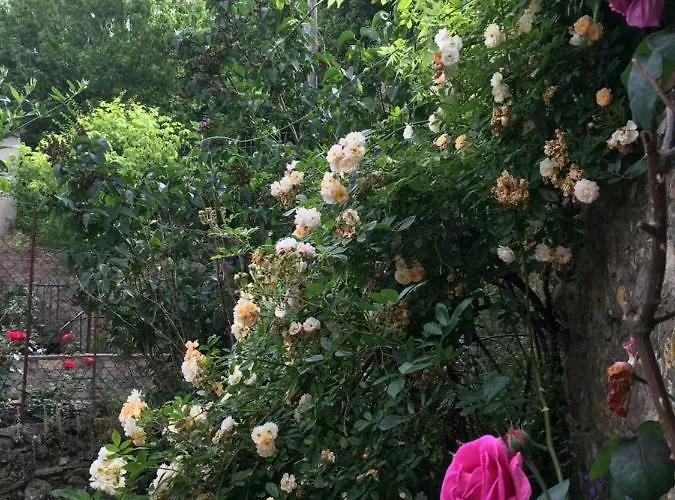 Coté Remparts Carcasona