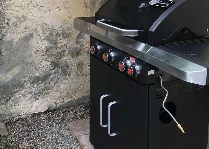 Cote Remparts Dom wakacyjny Carcassonne