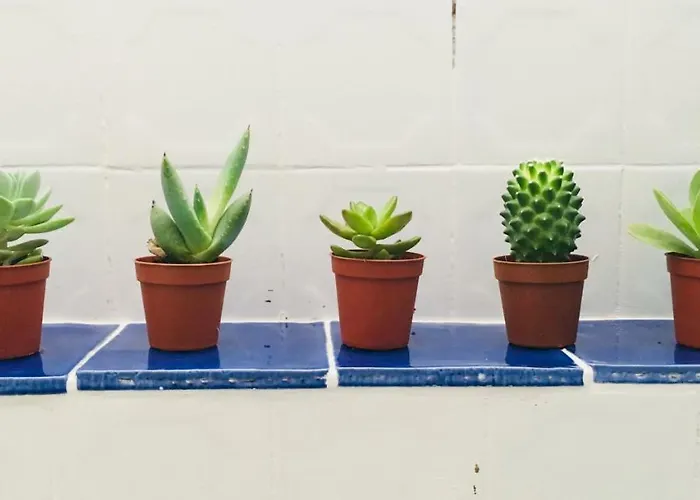 Dom wakacyjny Cote Remparts